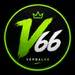 verbal66
