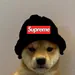 zun666