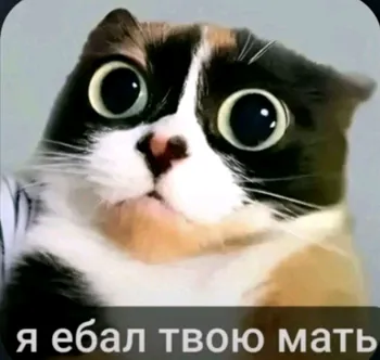 miZterbeaZt