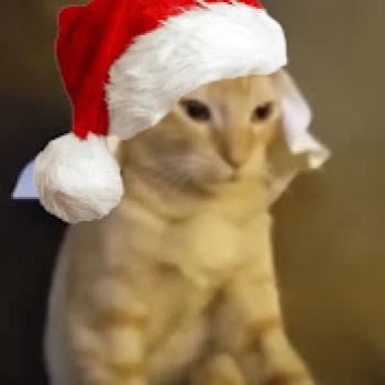 Maktub_RL