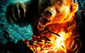 CrazyBearTV
