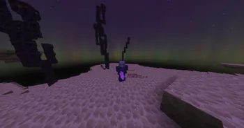 subvex2