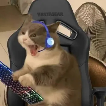 sadiktrr