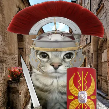zveriuga2