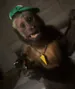 EnzoBoule