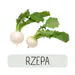 rzepastreamtv