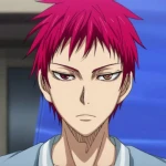 Avatar de Akashissj