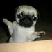 Soynuc_123