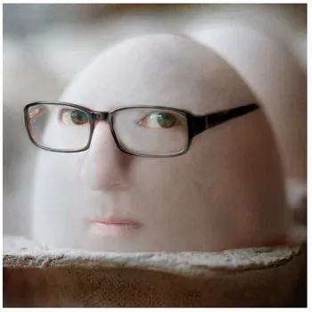 Alexigator