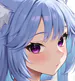 yui2d