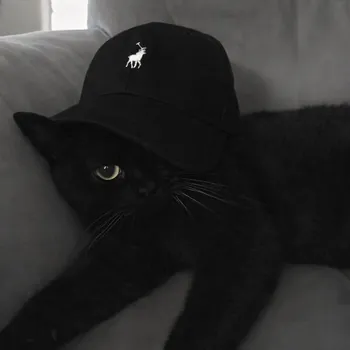 leuslol