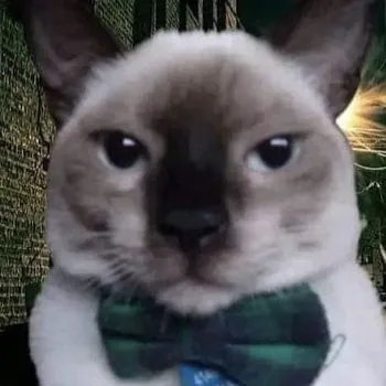 Frantecito