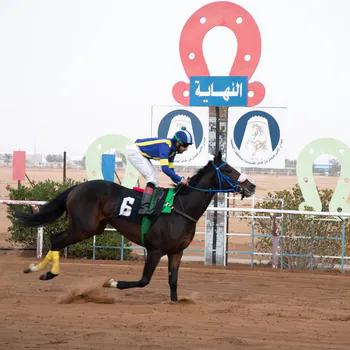 horse_owner