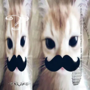 Ren_rixd