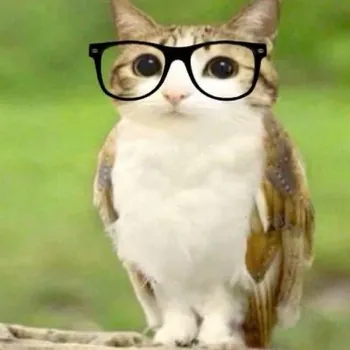 xusao