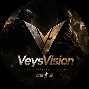 VeysVision