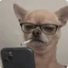 MAMHMOUD11
