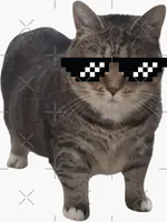 tiktok123als Kick