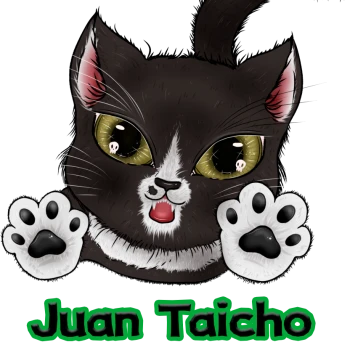JuanTaicho