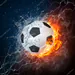 FUCHIBOL_TOTAL