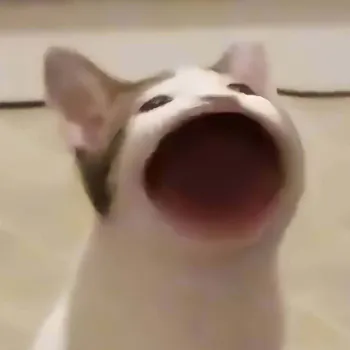 DAIKOTK