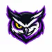 DisguisedOwl