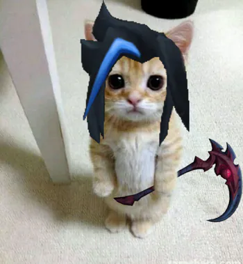 sourmei