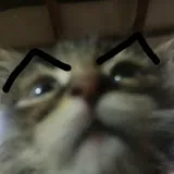 Matumapach
