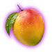 MANGO_league