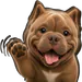 FurisTV