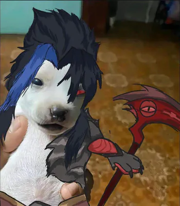 DoKoo_o