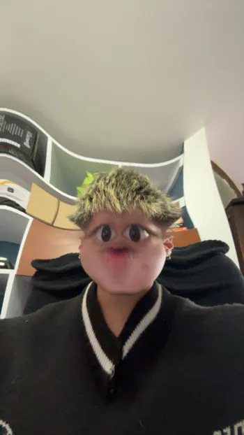 1deiko1