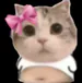 dapellamie