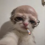 osashow