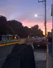 TioAlpaca_08