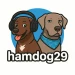 Hamdog29