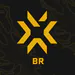 valorant_br statistics