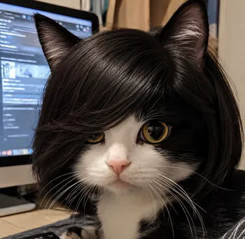 jenzcatt