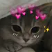 qHugz