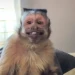 Whonder Profile Picture