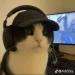 alexitodeus avatar