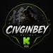 civgincagatay