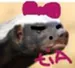 TiaGaming