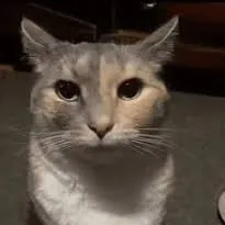 Blazko21