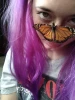 insectica