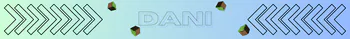 DNI207
