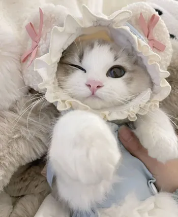 yuumidere