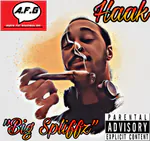HaakDa5DueceGun Kick
