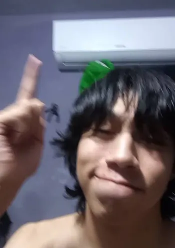 harp2ydeidadw