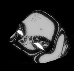 d4gox avatar